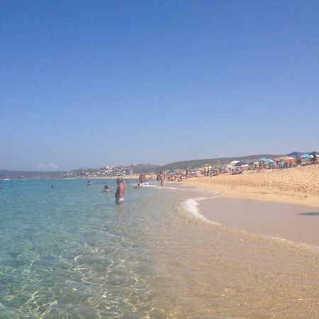 Sardegna-Ferienwohnung Mit Emotionale Meeres Blick Torre dei Corsari Εξωτερικό φωτογραφία
